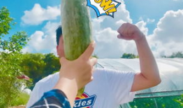 网红吃瓜爆料大全怀孕,揭秘娱乐圈怀孕大事件