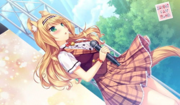 动漫妹子壁纸,梦幻视觉盛宴，邂逅青春魅力